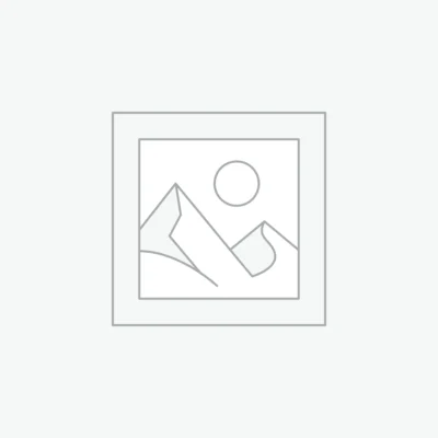 Digital Assets